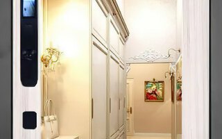 стальная дверь с большим зеркалом и умным замком